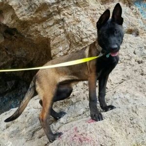 Meet your Posher, Sonya